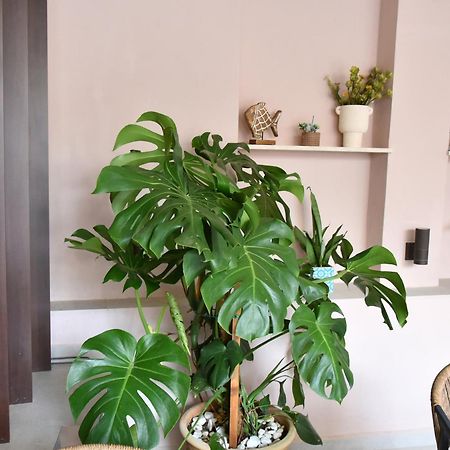 Casa Enetiko Hotel Chania  Ngoại thất bức ảnh