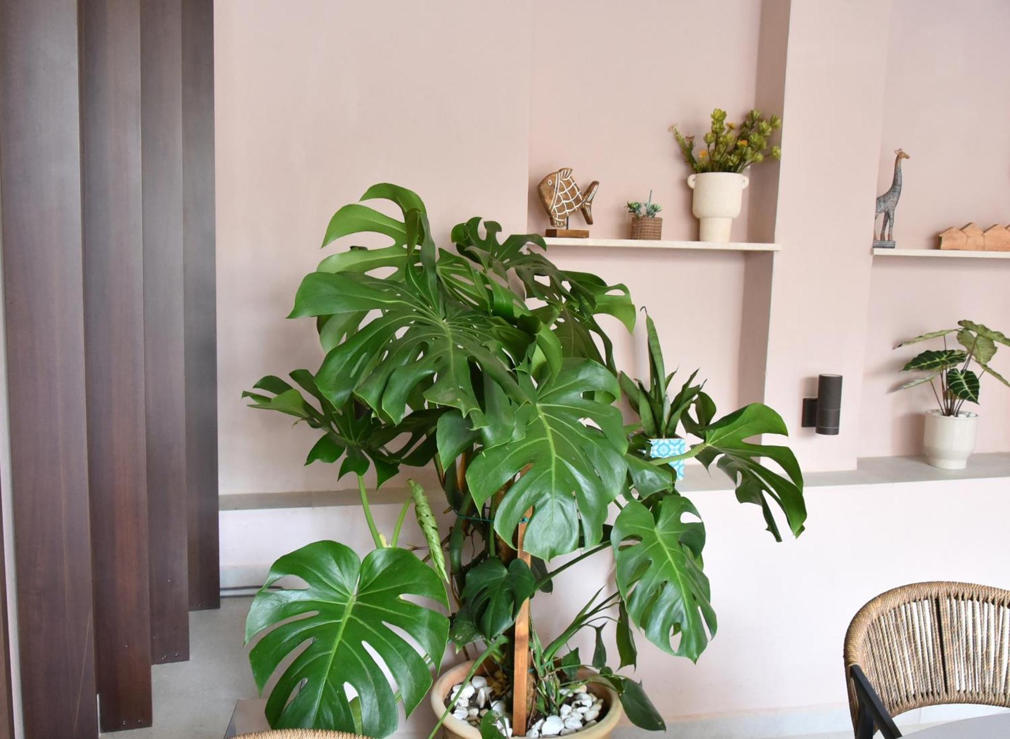Casa Enetiko Hotel Chania  Ngoại thất bức ảnh