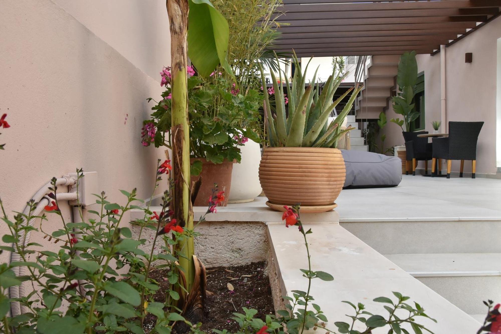 Casa Enetiko Hotel Chania  Ngoại thất bức ảnh